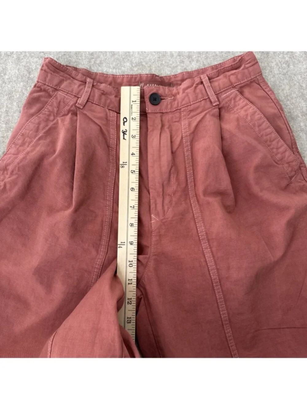 Everlane Linen Blend Pants Womens 2 Garment Dyed Pleated Wide Leg Ankle Length